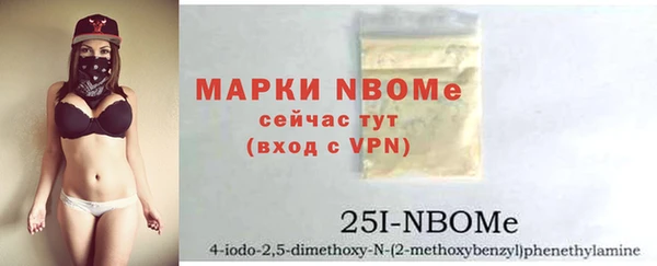 шишки Горняк