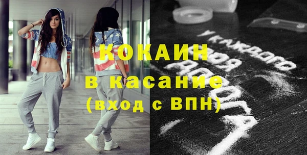 шишки Горняк