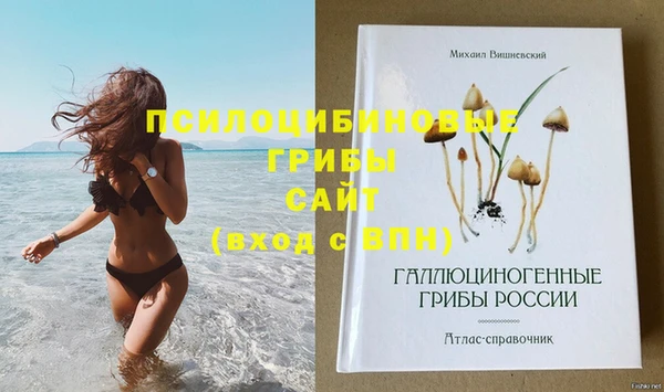 дмт Володарск
